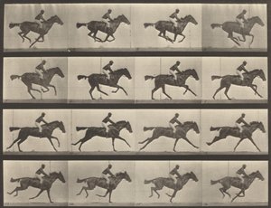 Placa número 626. Gallop, égua baia puro-sangue, Annie G., 1887. de Eadweard Muybridge