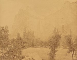 Pohona. Vale do Yosemite.
