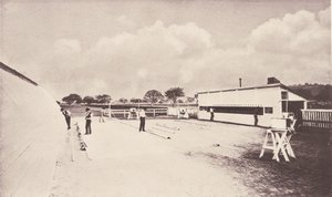Floresta. de Eadweard Muybridge