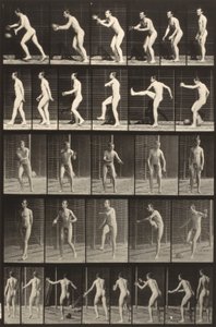 Locomoção animal (placa 300) (Homem a pontapear uma bola) de Eadweard Muybridge