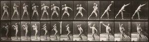 Locomoção animal (placa 319) (Homem a atirar uma bola) de Eadweard Muybridge