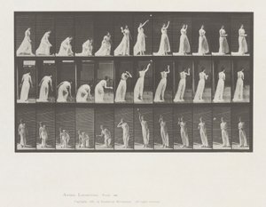 Locomoção Animal, Placa 305 de Eadweard Muybridge
