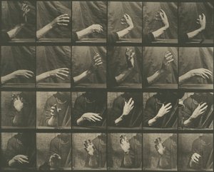 Locomoção animal, placa 535 de Eadweard Muybridge