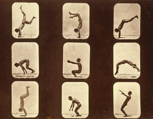 Atletas. Flip flap série 