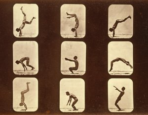 Atletas Irregular da série "Locomoção Animal", c.1881 de Eadweard Muybridge