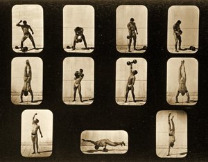 Atletas Posturing formar a série &39;Animal Locomotion&39;, c.1881 de Eadweard Muybridge