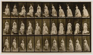 Descendo escadas e virando, do livro Animal Locomotion de Eadweard Muybridge