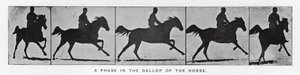 Eadweard Muybridge: Uma fase no galope do cavalo (foto a p/b) de Eadweard Muybridge