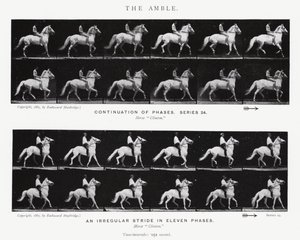 Eadweard Muybridge: O Âmbar (foto a p/b) de Eadweard Muybridge