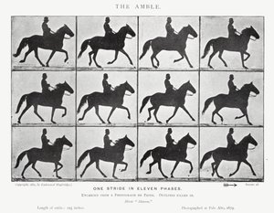 Eadweard Muybridge: O Âmbar (foto a p/b) de Eadweard Muybridge