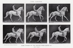 Eadweard Muybridge: O Canter (foto a p/b) de Eadweard Muybridge