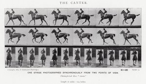 Eadweard Muybridge: O Canter (foto a p/b) de Eadweard Muybridge