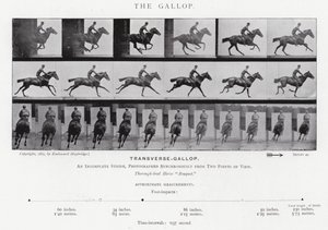 Eadweard Muybridge: O Galope (foto a p/b) de Eadweard Muybridge