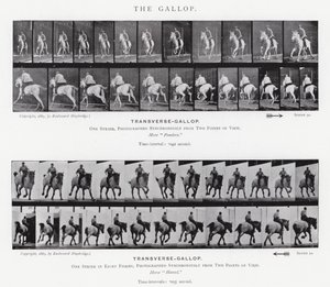 Eadweard Muybridge: O Galope (foto a p/b) de Eadweard Muybridge