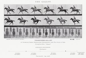 Eadweard Muybridge: O Galope (foto a p/b) de Eadweard Muybridge