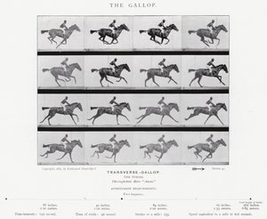 Eadweard Muybridge: O Galope (foto a p/b) de Eadweard Muybridge