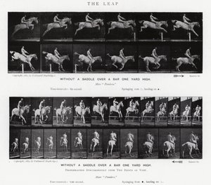 Eadweard Muybridge: O Salto (foto a p/b) de Eadweard Muybridge
