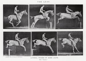 Eadweard Muybridge: O Salto (foto a p/b) de Eadweard Muybridge