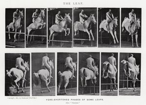 Eadweard Muybridge: O Salto (foto a p/b) de Eadweard Muybridge