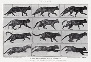 Eadweard Muybridge: O Salto (foto a p/b) de Eadweard Muybridge
