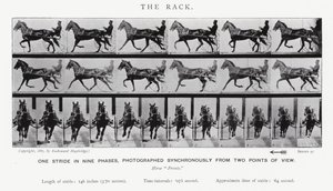 Eadweard Muybridge: O Rack (foto a p/b) de Eadweard Muybridge