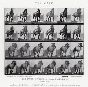 Eadweard Muybridge: A Caminhada (foto a p/b) de Eadweard Muybridge