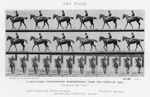 Eadweard Muybridge: A Caminhada (foto a p/b) de Eadweard Muybridge
