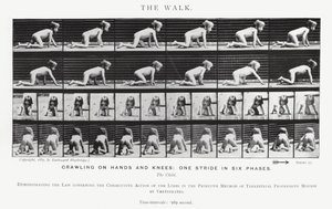 Eadweard Muybridge: A Caminhada (foto a p/b) de Eadweard Muybridge