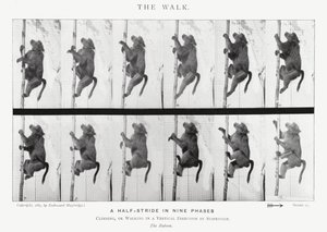 Eadweard Muybridge: A Caminhada (foto a p/b) de Eadweard Muybridge