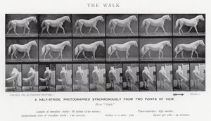 Eadweard Muybridge: A Caminhada (foto a p/b) de Eadweard Muybridge
