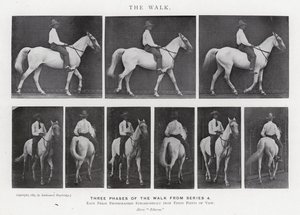 Eadweard Muybridge: A Caminhada (foto a p/b) de Eadweard Muybridge