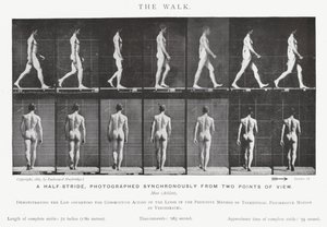 Eadweard Muybridge: A Caminhada (foto a p/b) de Eadweard Muybridge
