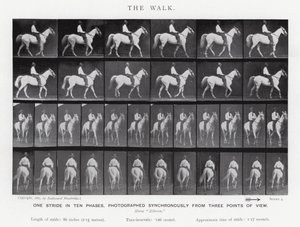 Eadweard Muybridge: A Caminhada (foto a p/b) de Eadweard Muybridge