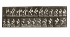 Cavalo galopando com cavaleiro, placa 635 de animal locomoção, 1887 de Eadweard Muybridge