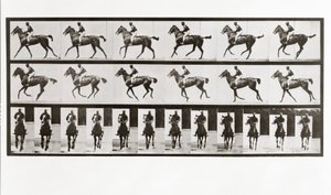 Cavalo e cavaleiro, placa 621 da locomoção animal, 1887 de Eadweard Muybridge