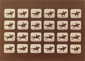 Cavalos. Corrida. Phyrne L. No. 40 de Eadweard Muybridge