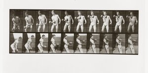 Homem, levantamento, um, dumbbell, prato, 324, de, animal, locomotion, 1887 de Eadweard Muybridge