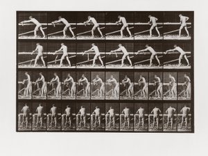 Homem, aplanar, madeira, prato, 379, animal, locomotion, 1887 de Eadweard Muybridge