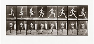 Homem, executando, prato, 65, animal, locomotion, 1887 de Eadweard Muybridge