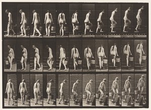 Placa 102. Virando e Escada Ascendente, Água de Balde na Mão Rt, 1872-1885 de Eadweard Muybridge