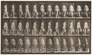 Placa 106. Virando Escada Ascendente, Balde de Água em Cada Mão, 1872-1885 de Eadweard Muybridge