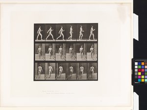 Placa 10. Caminhada de Eadweard Muybridge