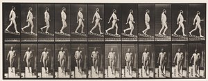 Placa 113. Inclinação Decrescente, 1 em 4, 1872-1885 de Eadweard Muybridge