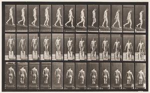 Placa 114. Inclinação Decrescente, Ângulo 1 em 4, 1872-1885 de Eadweard Muybridge