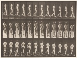 Placa 116. Inclinação Descendente, Uma Mão no Queixo de Eadweard Muybridge