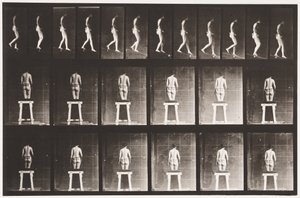 Placa 118. Inclinação Descendente de Eadweard Muybridge