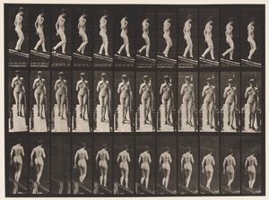 Placa 119. Inclinação descendente, mão direita no peito (sapatos) de Eadweard Muybridge