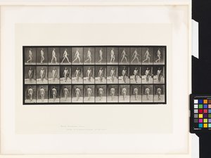 Prato 11.Caminhada de Eadweard Muybridge