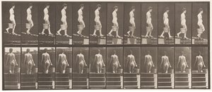 Prato 120. Inclinação Decrescente, Balde de Água na Mão Direita, 1872-1885 de Eadweard Muybridge