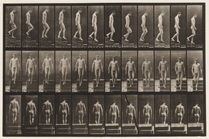 Placa 125. Escadas descendentes de Eadweard Muybridge